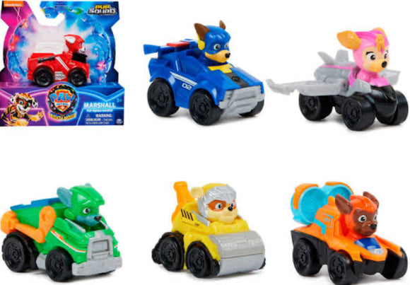PAW PATROL PUP SQUAD RACERS AST